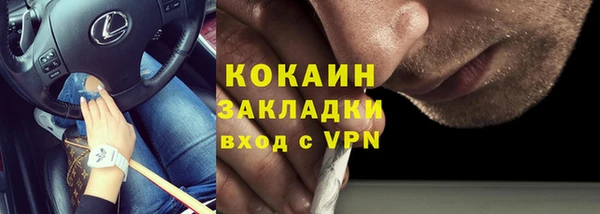 кокс Алексин