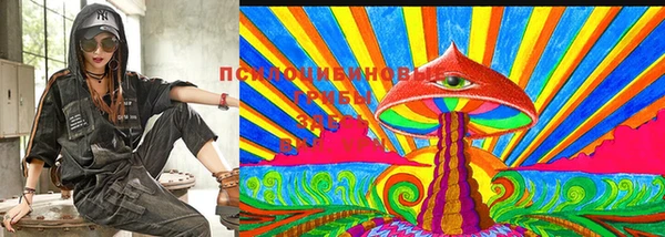 кокс Алексин