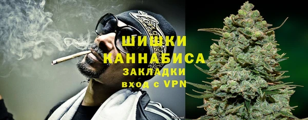 спиды Рославль