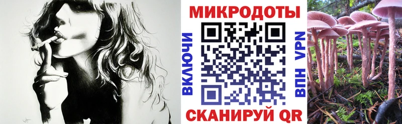 Псилоцибиновые грибы мицелий  MEGA зеркало  Лаишево 